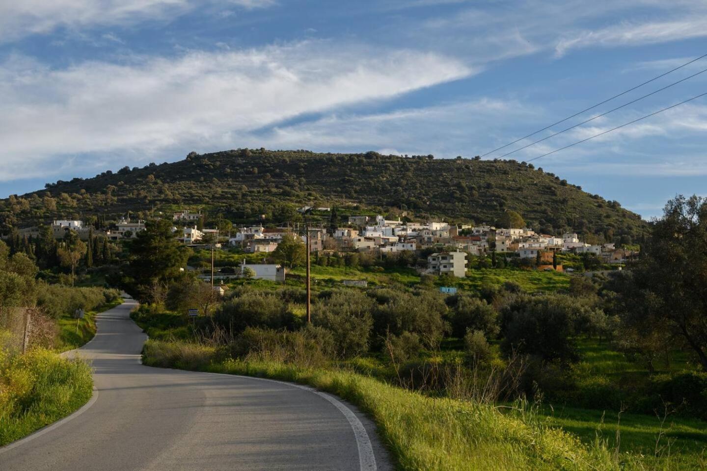 Kouses Estate Close To Matala,Komo Beach & Faistos المظهر الخارجي الصورة